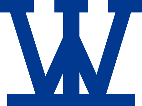 WOOIK SEMICONDUCTOR